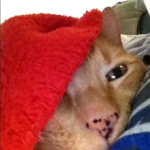 Meet your Posher, Ana